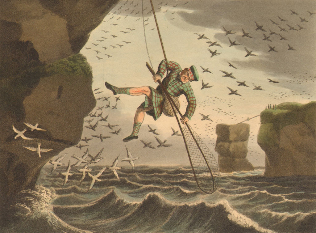 SCOTLAND. Bird- catching from above. Net. Rope (Edward Orme)  1814 old print